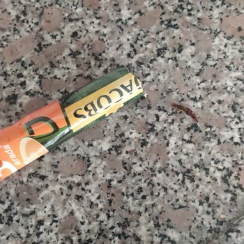 Jacobs Kahveden Böcek Çıktı