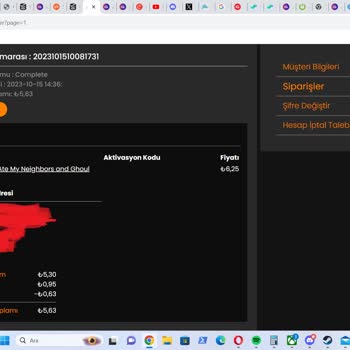 Allyouplay.com Oyun Kodumu Vermedi
