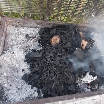 Şok Marketler Kömür Mangal N