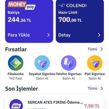 Ne Temaslı Ne Temassız MoneyPay Kartımı Kullanamıyorum