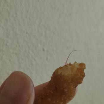 Burger King Ürününden Plastik Çıkması