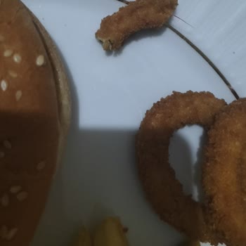 Burger King Ürününden Plastik Çıkması