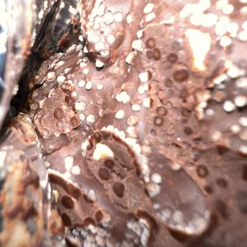 Eti Gıda Ürününde Son Kullanma Tarihi Uyumsuzluğu