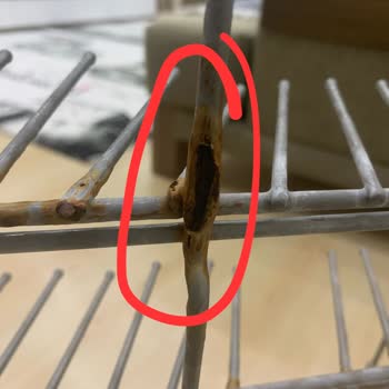 Franke Bulaşık Makinesi Sepet Paslanması