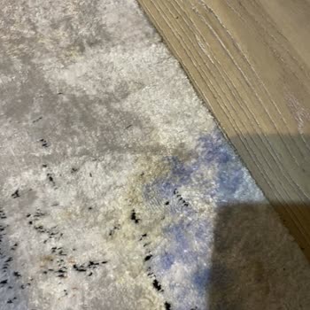 Royal Halı Yıkama Sonrası Renk Değişikliği