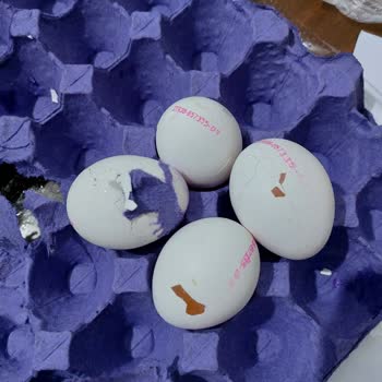 Özensiz Paketleme Kırık Yumurtalar @bilibili @BİM