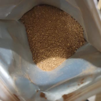 Nescafe Gold Sanki Classic Gibi