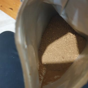 Nescafe Gold Sanki Classic Gibi