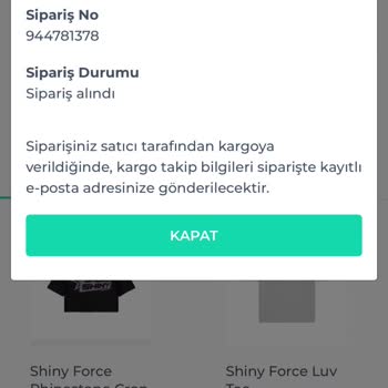 Shiny Force Kargom Hala Gelmedi