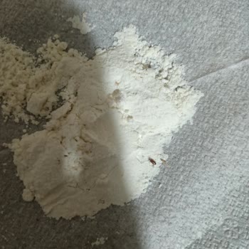 Piyale Un'dan Kurt Ve Böcek Çıktı