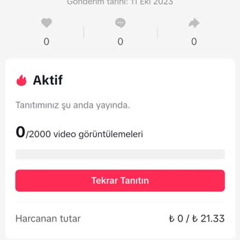 TikTok Tanıtım Sorunu Var
