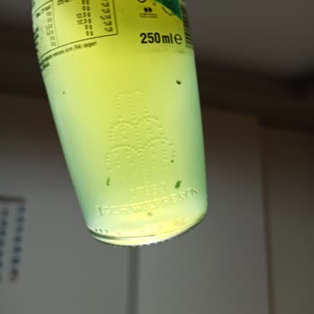 Schweppes Bitter Limon Parçacık