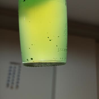 Schweppes Bitter Limon Parçacık