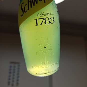 Schweppes Bitter Limon Parçacık