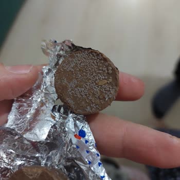 Ülker Ece Çikolata Bakteri Küf Oluşumu Ve Bozulması