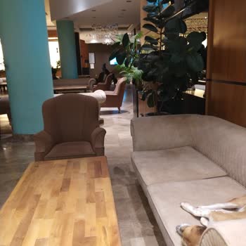 Balıkesir Güre Hattuşa Vacation Thermal Club Kazdağları