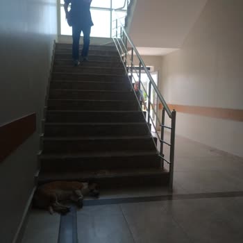 Balıkesir Güre Hattuşa Vacation Thermal Club Kazdağları