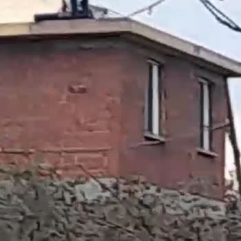 Türk Telekom Telefon Direği Ve Kablo Sorunu