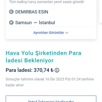 Trip.com Online Bilet Aldatmacası