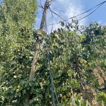 Türk Telekom Hürriyet Mah. Arıza