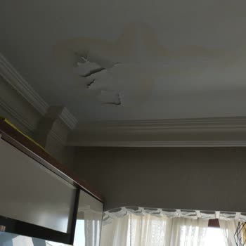 Altus Hasar Tazmin Talebimin İnceleme Yapılmadan Kapatılması