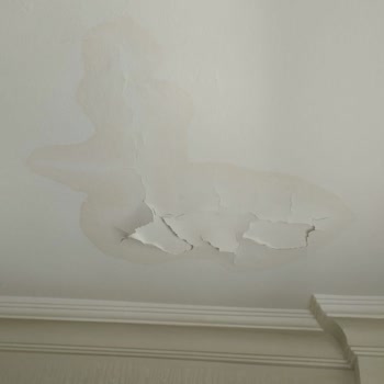 Altus Hasar Tazmin Talebimin İnceleme Yapılmadan Kapatılması