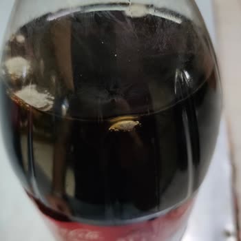 Coca-Cola Kolada Böcek Var