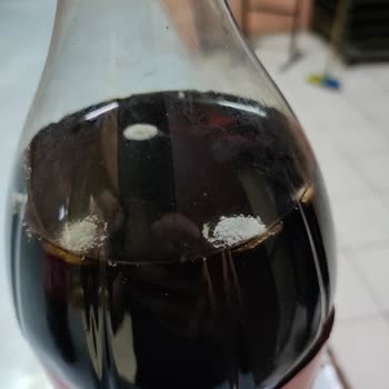 Coca-Cola Kolada Böcek Var