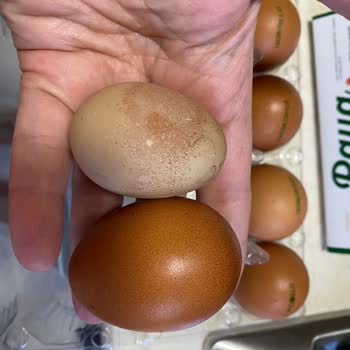 Raya Yumurtaların Gramajları Yok, Bozuk Yumurtaya Para Veriyoruz.