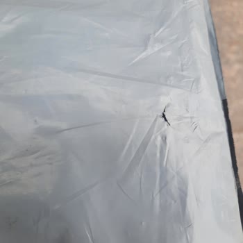 Sürat Kargo Kargo Alım Şube Uzaklık