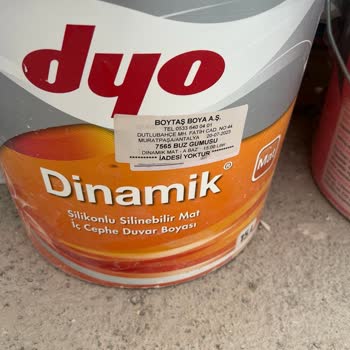 Dyo Buz Gümüşü Boya Hakkında