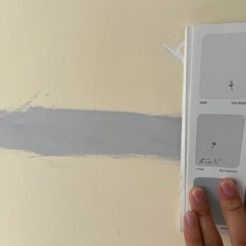 Dyo Buz Gümüşü Boya Hakkında