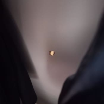 Deha Nakliyat Hizmetinden Pişmanım