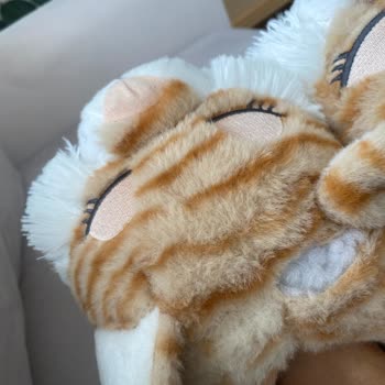 Twigy Pandufun Az Kullanmada Yırtılması