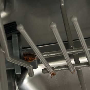 Samsung DW60M5042FS/TR Bulaşık Makinesi Sepetlerinin Çürümesi.