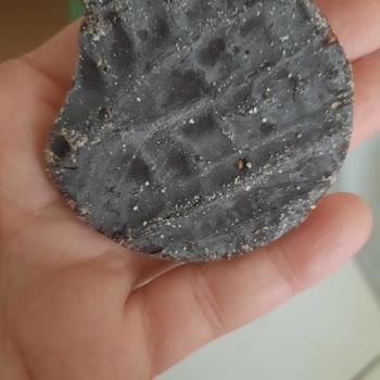 Eti Gıda Bozuk. Ve Deforme Olmuş Ürün