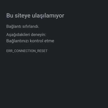 Bitexen Şifre Sıfırlama Maili Kabul Olmayışı