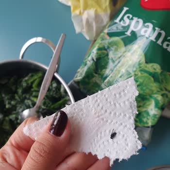 A101 Çokça Ispanaktan Sinek Çıktı