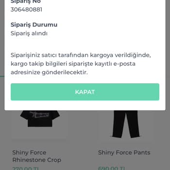 Shiny Force Kargom Kaç Gündür Gelmedi