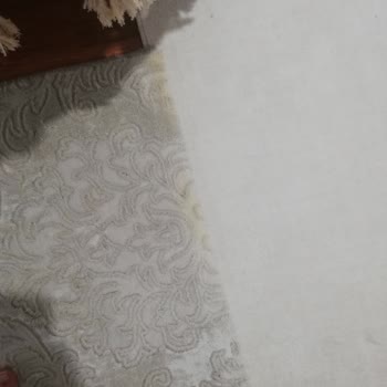 Unzufrieden mit der Teppichreinigung Akar Halı in Istanbul: Eine frustrierende Erfahrung