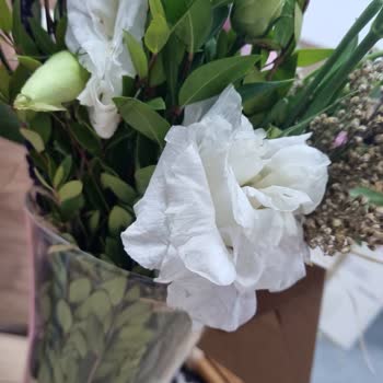 Çiçek Sepeti Gönderilen Çiçeğin Çok Kötü Durumda Olması