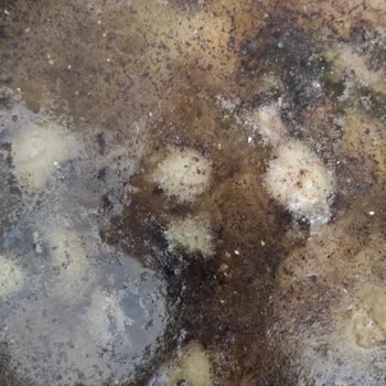 Porsi10 Churros Kızartırken Eridi