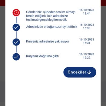 Aras Kargo Adreste Olunmasına Rağmen Teslim Edilmeyen Kargo