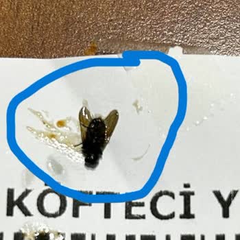 Köfteci Yusuf'tan Bol Sinekli Tavuklar Ve Müşteriyi Suçlama