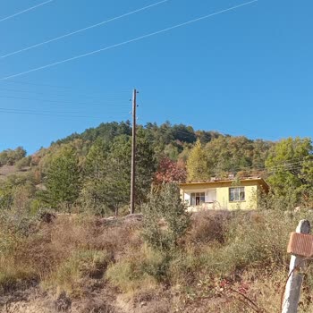 YEDAŞ Sokak Aydınlatma Lambası İlgisizliği