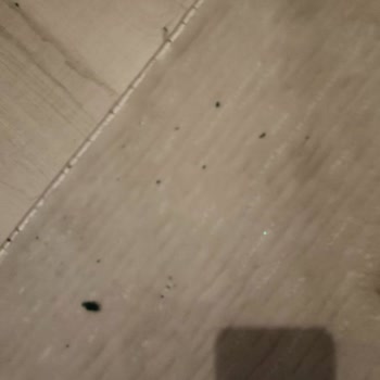 LCW Kalitesiz Ürün