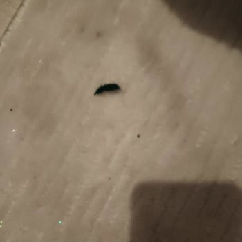 LCW Kalitesiz Ürün