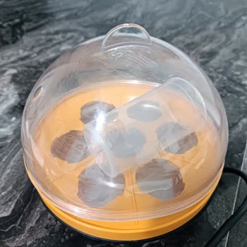 Sinbo Yumurta Haşlama Makinesi Kapak Sorunu