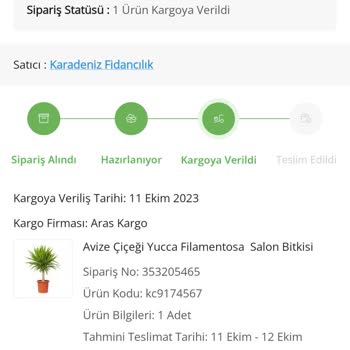 ÇiçekSepeti 3 Gün Sonra Teslim Edilebilen Alakasız Çiçek