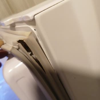 Samsung Buzdolabı Lastik Yırtıldı